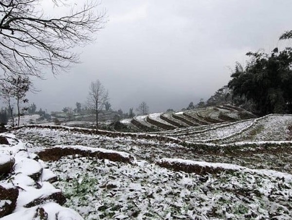 Chủ động ứng phó với rét đậm, rét hại và đề phòng xảy ra băng giá, sương muối