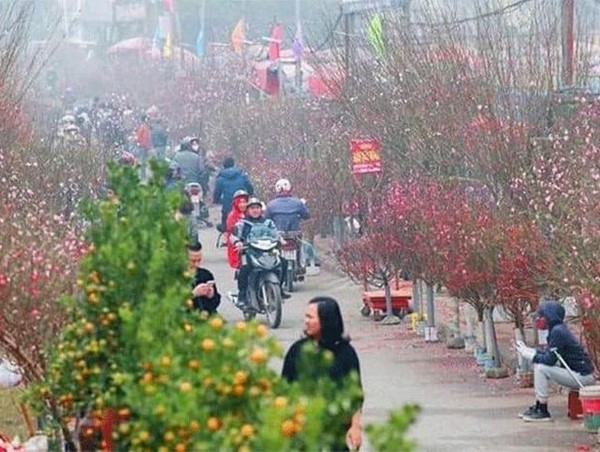 Hà Nội tổ chức 83 chợ hoa phục vụ Tết Nguyên đán 2024