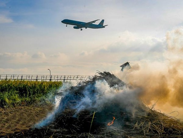Không để xảy ra tình trạng đốt rơm rạ tại các khu vực gần quốc lộ, tỉnh lộ, sân bay Nội Bài