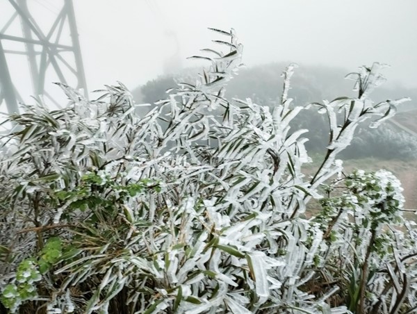 Thời tiết ngày 27/1: Bắc Bộ và Bắc Trung Bộ tiếp tục rét hại, vùng núi cao xuất hiện băng giá