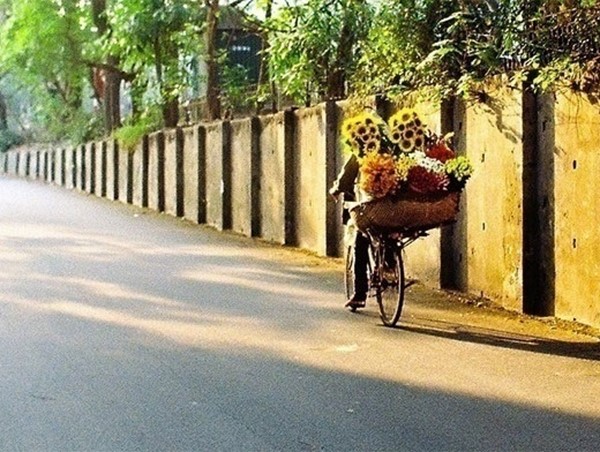 Thời tiết ngày 30/1: Miền Bắc hửng nắng sau chuỗi ngày rét hại 