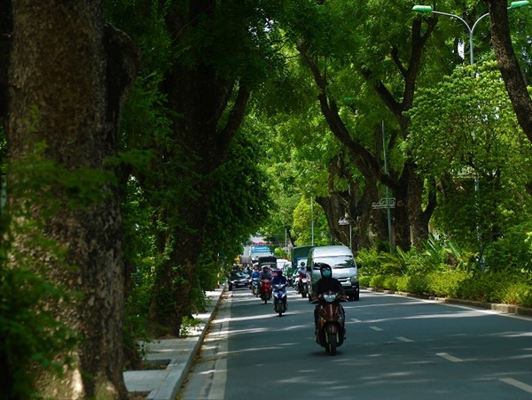 Những con phố trở thành “thiên đường” giữa nắng hè Hà Nội 