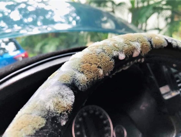 Nhiều tài xế tá hỏa khi mở cửa xe sau nhiều ngày giãn cách