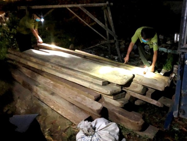 Người đàn ông vận chuyển nhiều gỗ quý qua chốt kiểm dịch