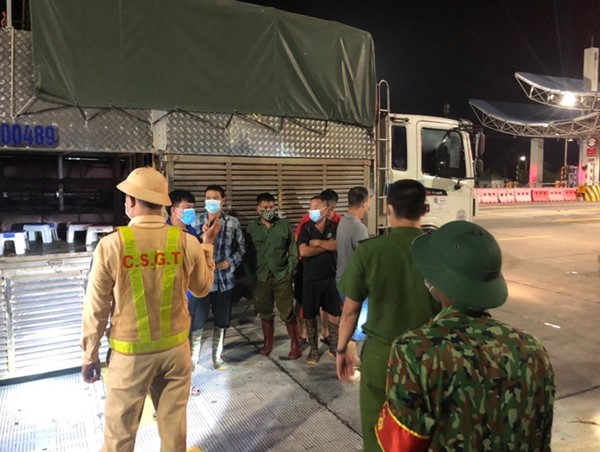 4 người đàn ông trốn trong xe chở lợn hòng thông chốt