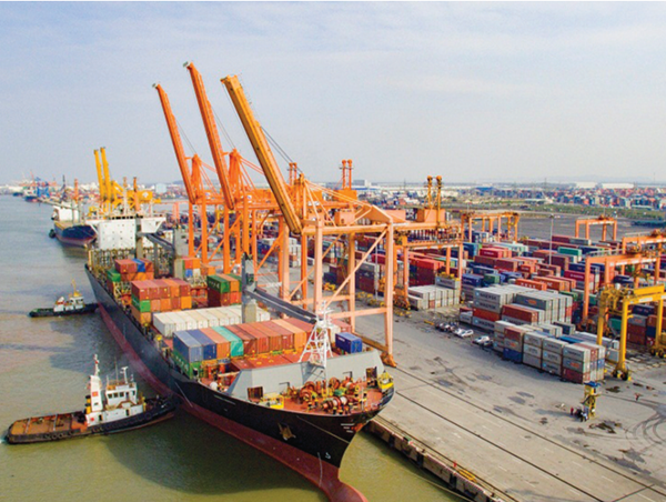 Khách qua cảng biển Việt Nam giảm 39%