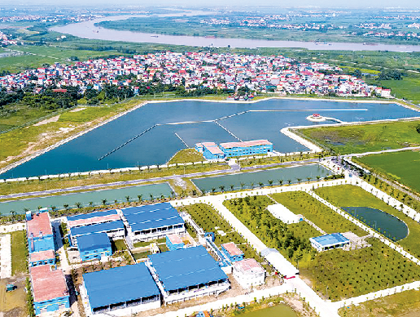 Tổ chức giao thông để thi công nhà máy nước mặt sông Hồng