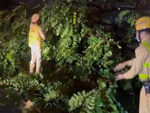 Cảnh sát giao thông Hà Nội trắng đêm dọn cây đổ sau mưa dông