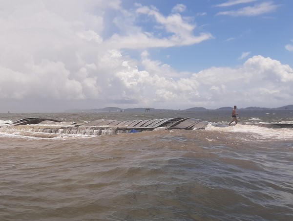 Hải Phòng: Cứu sống 5 thuyền viên gặp nạn chìm tàu