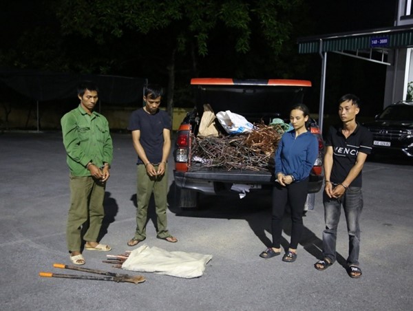 Bắt nhóm đối tượng trộm cáp điện trên cao tốc Vân Đồn-Móng Cái