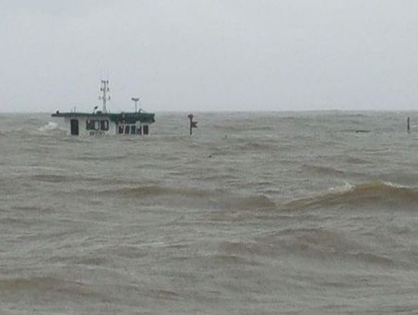 Thái Bình: Ngao chết trắng bãi sau sự cố chìm tàu Hà An 01