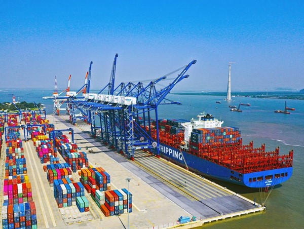 Các hãng tàu liên tục cập cảng Hải Phòng dịp Tết 2023