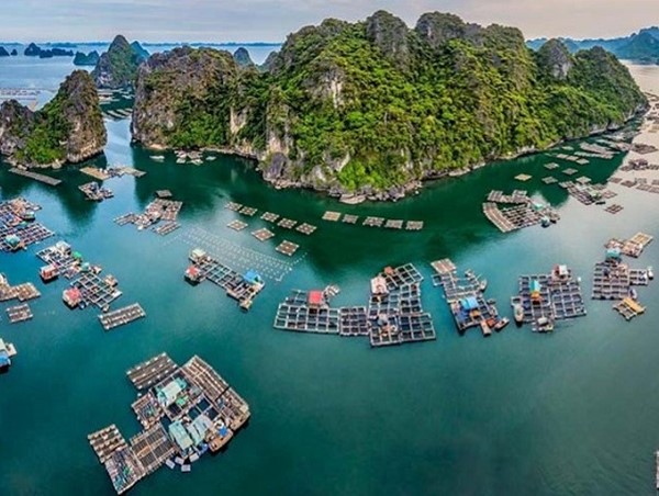 Quảng Ninh: Cấm phương tiện hoạt động ở làng chài Cửa Vạn 