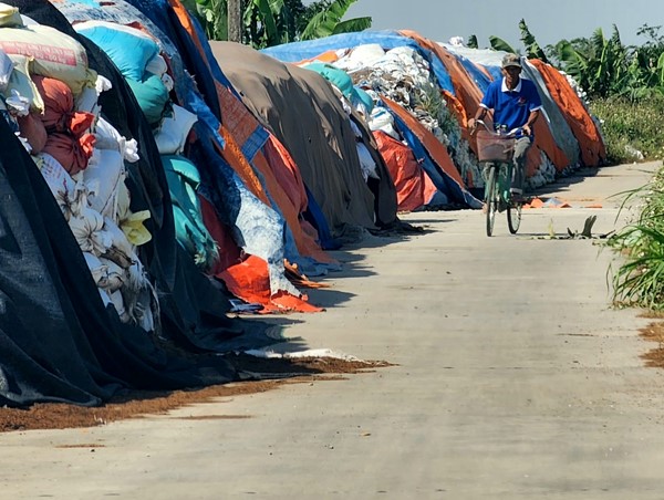 Đường đê xã Vĩnh Phong, huyện Vĩnh Bảo thành nơi tập kết phế liệu