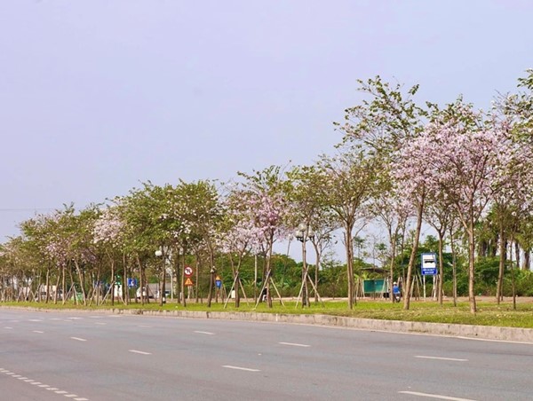 Hải Dương: Chi gần 89 tỷ đồng chỉnh trang đại lộ Võ Nguyên Giáp, đường Trường Chinh