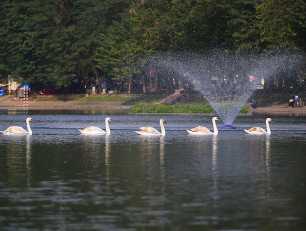 Hà Nội: Dỡ một phần tường rào công viên Thống Nhất, để kết nối với phố đi bộ Trần Nhân Tông