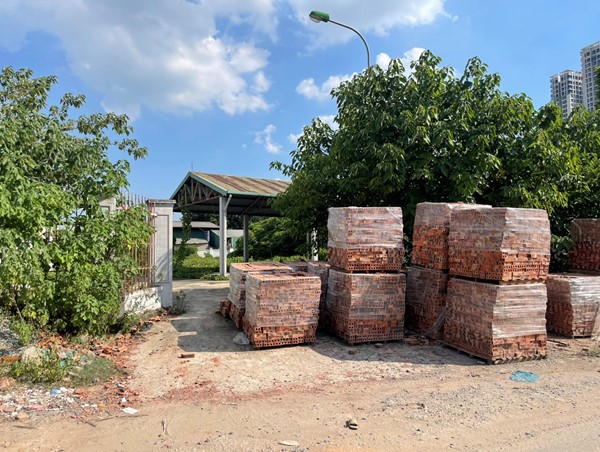 Quận Nam Từ Liêm: Cây dại, dây leo bao trùm chợ dân sinh Tây Mỗ