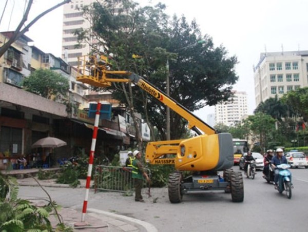 Hà Nội: Thành lập tổ cơ động ứng phó cây xanh gãy đổ do bão số 2