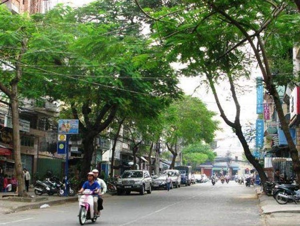 TP.HCM cấm xe ô tô theo giờ tại giao lộ QL1 - Dương Đình Cúc