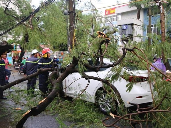 Hà Nội khẩn trương thu dọn cây xanh đổ, gãy trên các tuyến đường