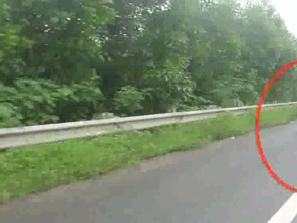 Bất chấp nguy hiểm, xe máy đi vào đường cao tốc