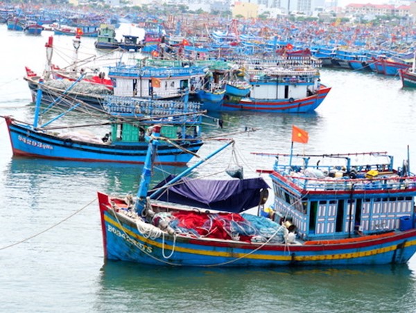 Bảo đảm an toàn cho tàu thuyền trước bão số 8 giật cấp 14