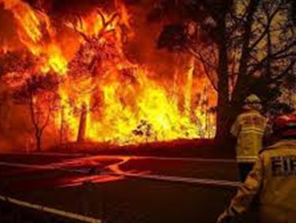 Ấn tượng cảnh lái xe xuyên đám cháy rừng khủng khiếp ở Australia