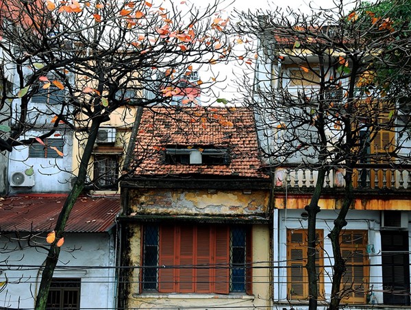 Tháng Ba, đường phố Hà Nội đẹp ngỡ ngàng trong tiết giao mùa