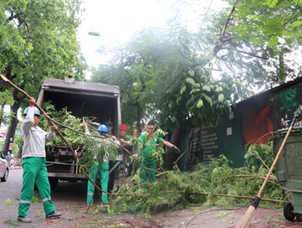 Hà Nội: Tăng cường hệ thống chiếu sáng, cây xanh, đảm bảo an toàn giao thông mùa mưa bão