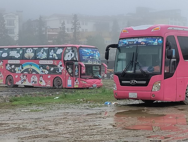 Xe "dù" Interbus Lines: Cần làm rõ hàng loạt vi phạm