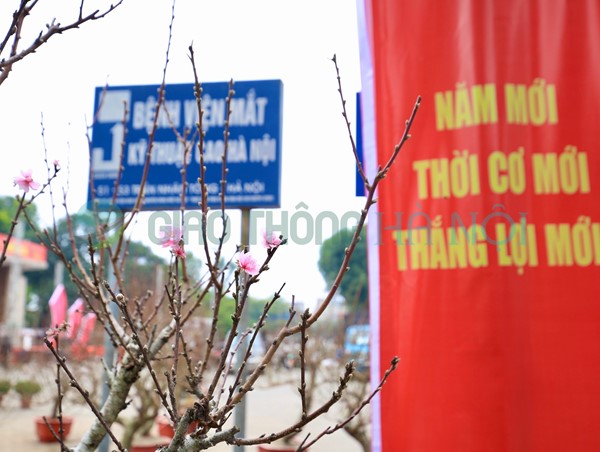 Dự báo thời tiết ngày 12/1/2023: Hà Nội trưa và chiều hửng nắng