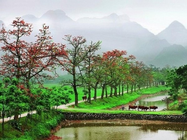 Tin thời tiết ngày 26/2: Không khí lạnh sắp suy yếu trong tuần tới