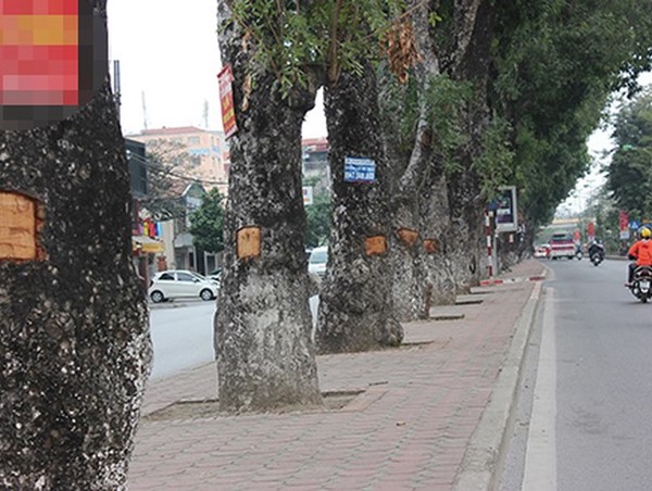 Vụ tai nạn chết người trên đường Láng: Cần tìm nhân chứng