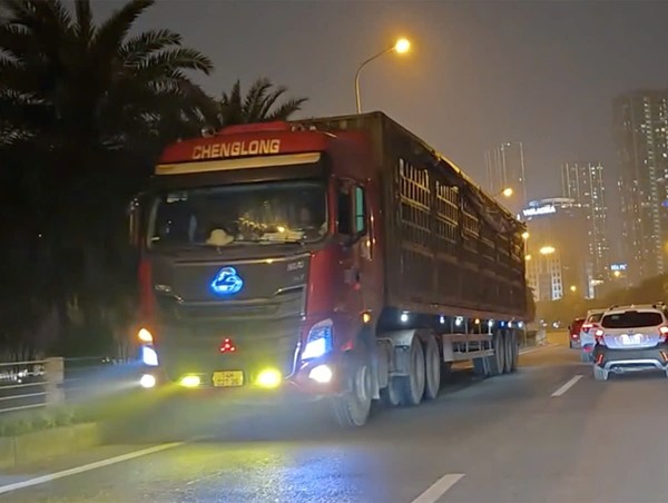 Đi ngược chiều đường gom đại lộ Thăng Long, tài xế xe đầu kéo bị phạt nặng
