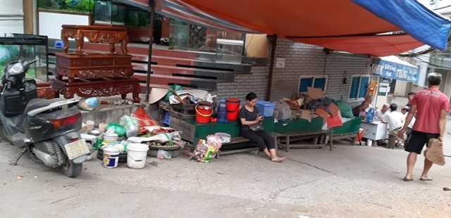 Lộn xộn chợ hoa, cây cảnh trên đường Hoàng Hoa Thám lon xon cho hoa cay canh tren duong hoang hoa tham