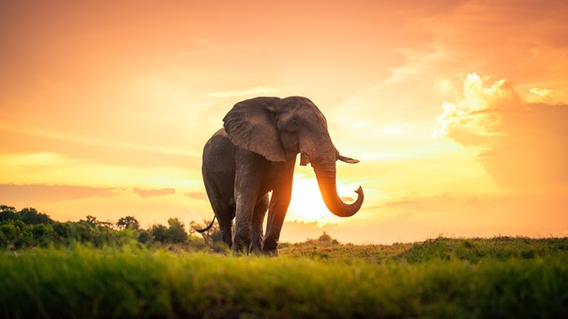 Hướng tới Thủ đô Văn minh: Nâng cao trật tự giao thông và văn hóa ứng xử từ trách nhiệm công dân