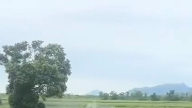 Ô tô mất lái đâm xuống ruộng lúa