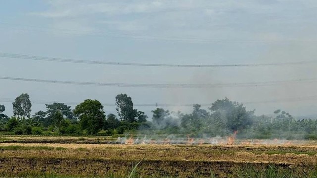 Tái diễn tình trạng phơi thóc, đốt rơm rạ ngoài đường tại Bắc Ninh