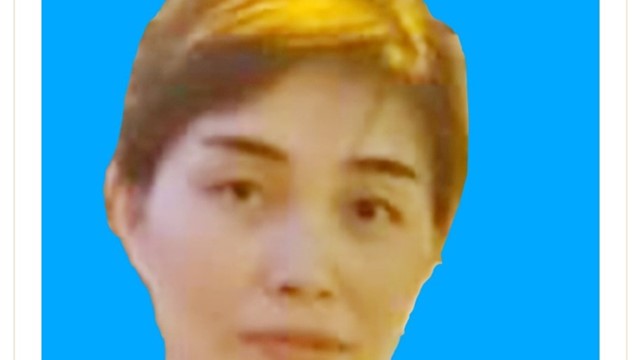 Hà Nội: Truy tìm người phụ nữ thuê xe ô tô mang đi cầm cố