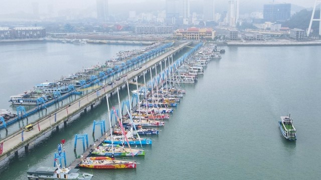 Tạm dừng điều chỉnh giá dịch vụ cảng tàu khách quốc tế ra Hạ Long