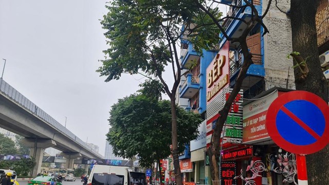 Vì sao xe khách trá hình lấn át xe khách tuyến cố định?