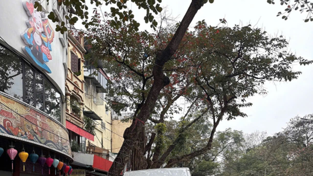 Nhiều giải pháp tuyên truyền, hướng dẫn và xử lý nghiêm xe khách vi phạm trong phố cổ