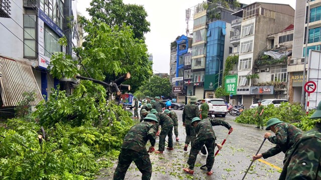 Hà Nội tập trung giải tỏa cây xanh gãy, đổ xong trước ngày 12/9/2024
