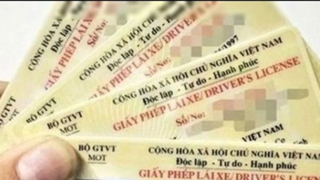 Phú Thọ: Không thực hiện việc cấp đổi giấy phép lái xe khi chưa thực sự cần thiết