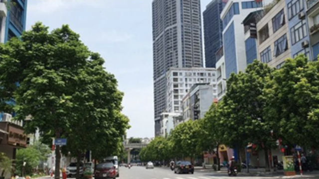 Hà Nội: thí điểm điều chỉnh tổ chức giao thông đường An Trạch, quận Đống Đa