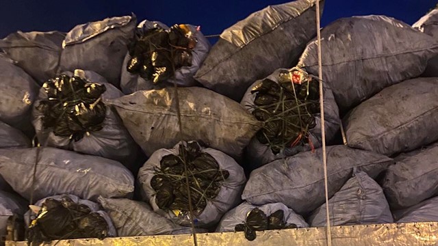 Thanh tra Sở GTVT Hà Nội xử lý gần 4.500 trường hợp vi phạm hoạt động vận tải hàng hóa bằng xe ô tô 