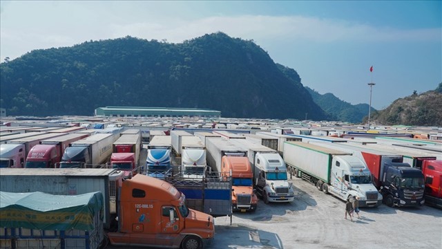 Lạng Sơn: Tiếp tục dừng tiếp nhận xe hoa quả tươi xuất khẩu 