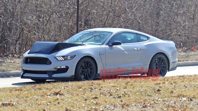 Ford thử nghiệm Mustang Shelby GT350 Mule với mui xe kỳ lạ