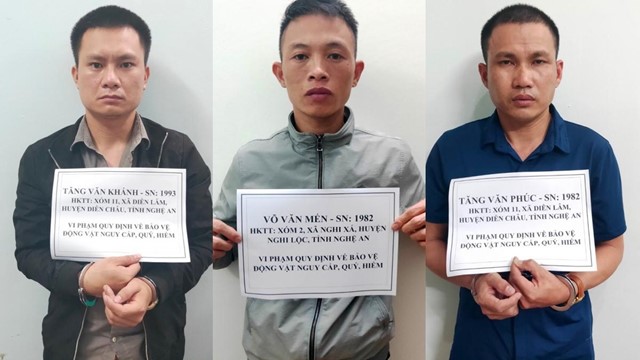 Công an tỉnh Lai Châu: Triệt phá đường dây vận chuyển, mua bán động vật quý hiếm