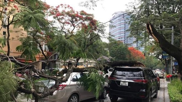 Tai nạn giao thông mới nhất hôm nay (17/5): Xe ô tô tải va chạm với xe mô tô khiến 2 người tử vong 